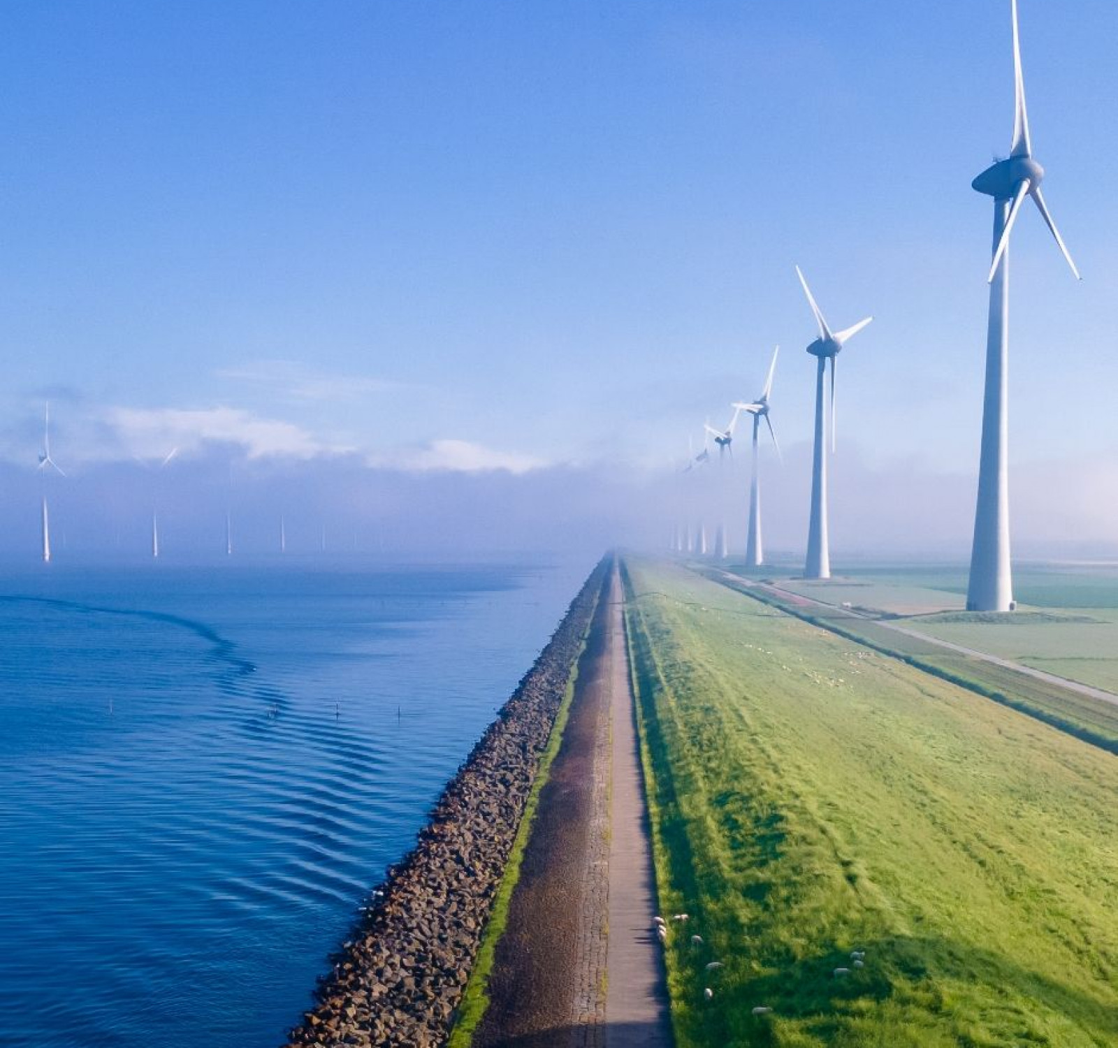 Renewable Energy